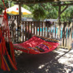 Meet your Posher, Dwight